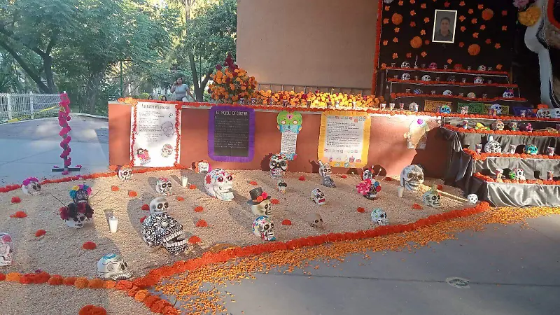 Cráneos elaborados por los alumnos de la materia de matemáticas.